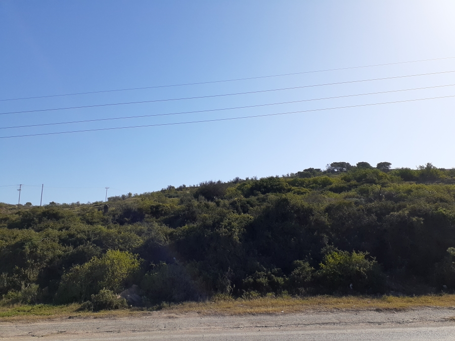 0 Bedroom Property for Sale in Wells Estate Eastern Cape